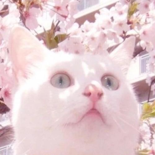 山田けいこ