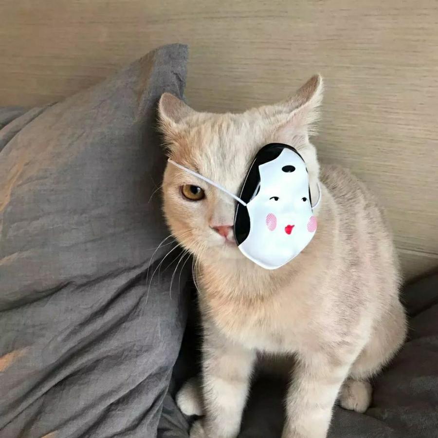 修祈