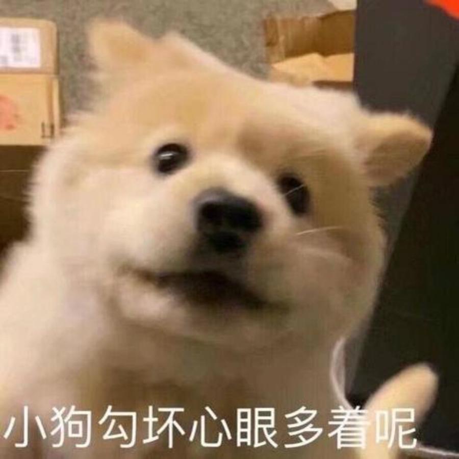 所盼皆所期