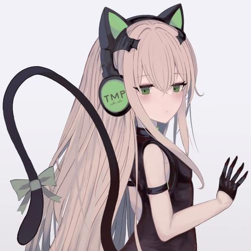 逆光灯の猎猫