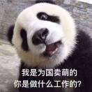 熊猫怼怼