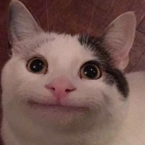 闪光绿猫虫