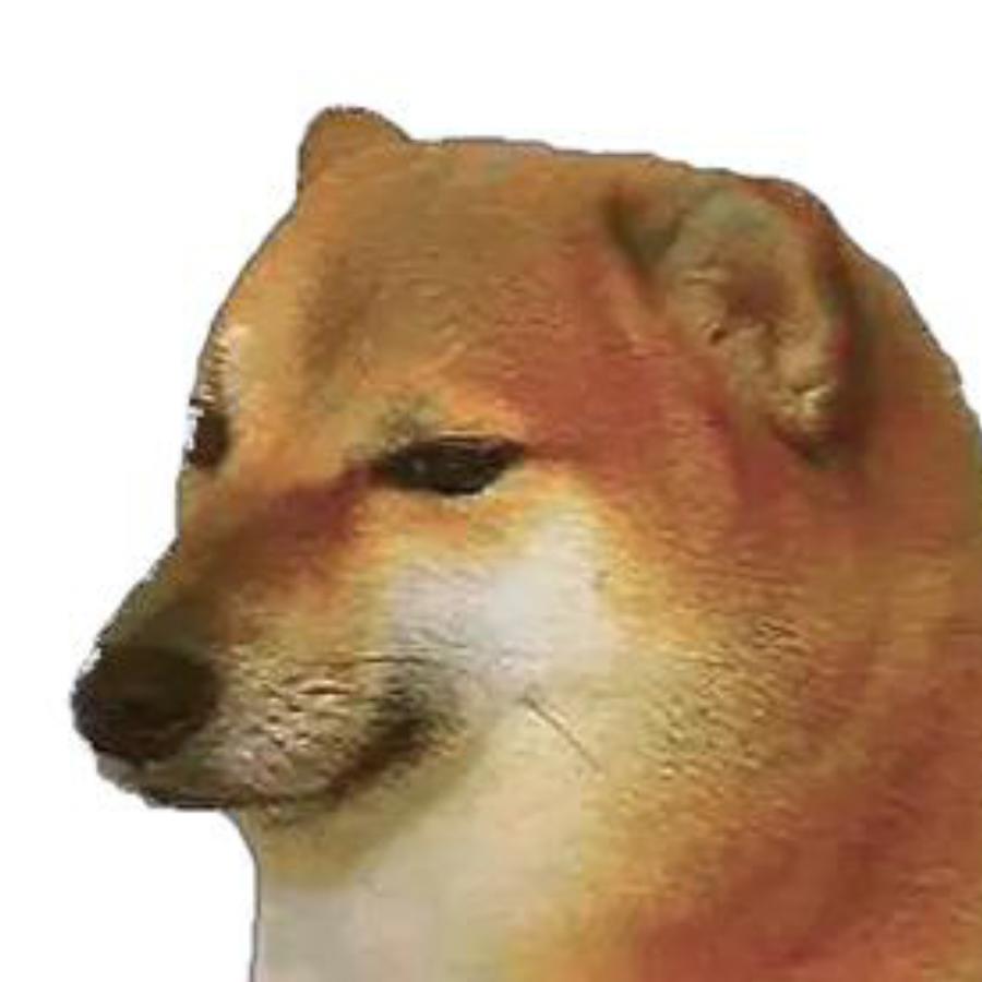 闰土怀里的猹