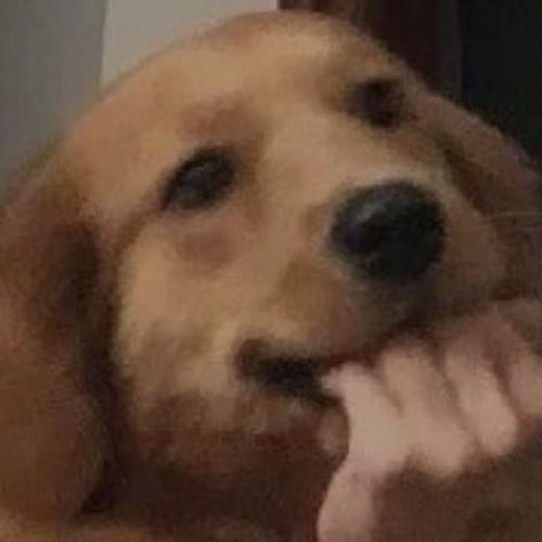 方圆揉不圆