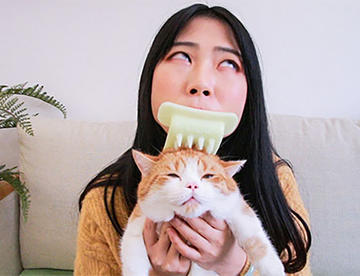 某女子用猫舌头梳交流感情，有倒刺，专用来舔猫，猫：我莫得感情