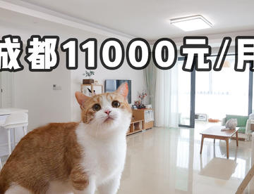 带5只猫搬入170m²大豪宅！大家觉得贵吗？